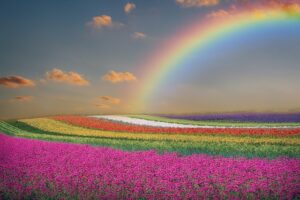 SerPlus Arco Iris