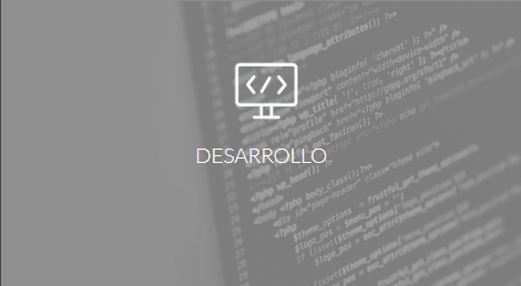 Desarrollo