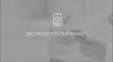 Securización Terminales